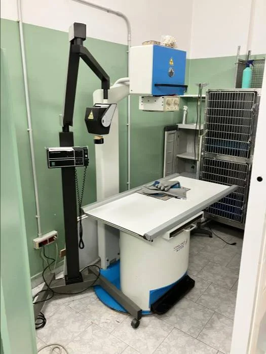 Sell Veterinary x ray machine ACEM SPA Raffaello HF 2006 (Italy ...