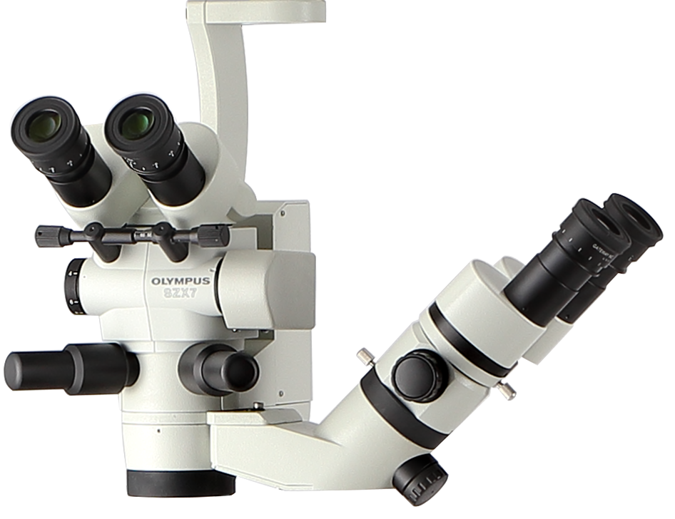 Sell O/R Microscope VISIONSTAR SM-2000L (United States) | Bimedis