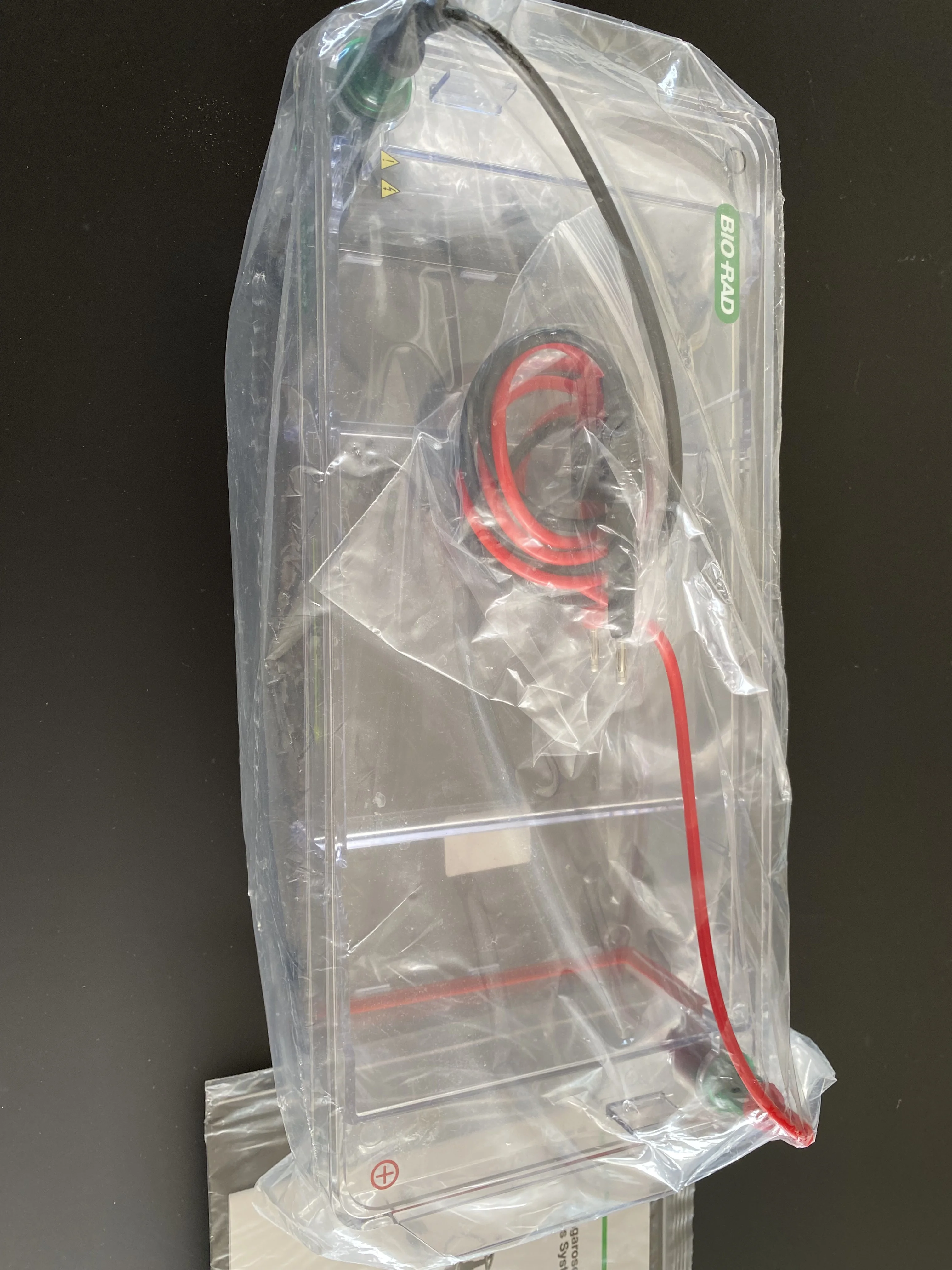Sell Electrophoresis system BIO-RAD Sub-Cell GT 2018 (Belgium) | Bimedis